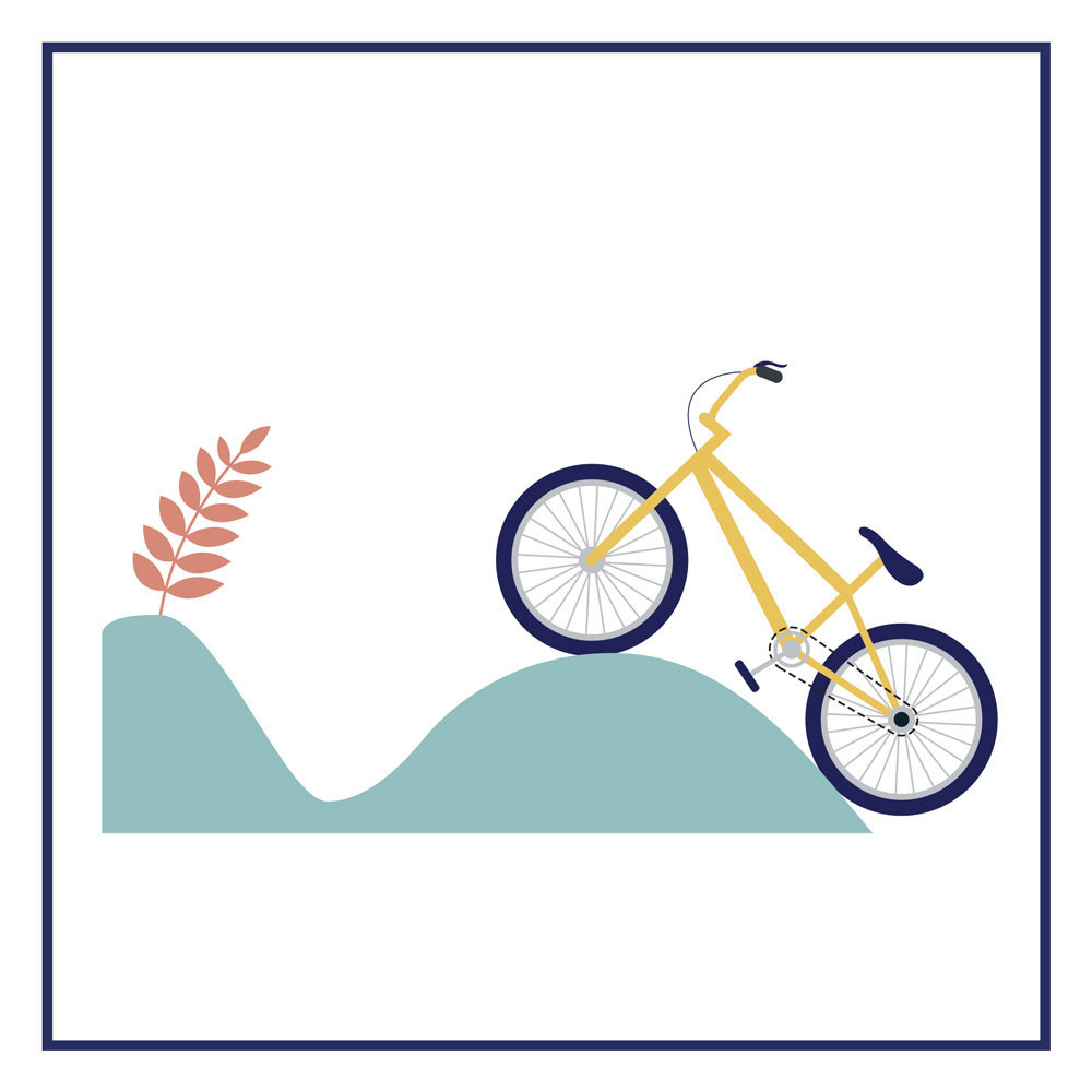 Image média: Création d’un circuit à bosses (Pumptrack)