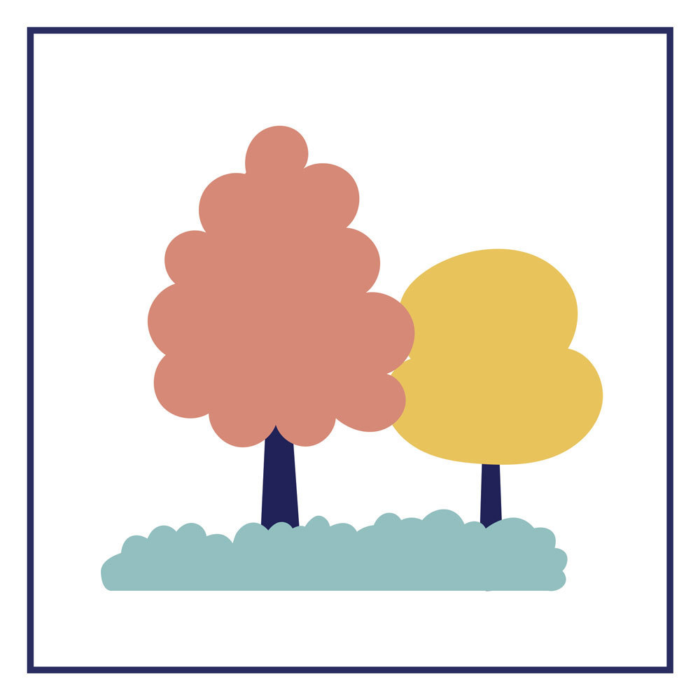 Image média: Plantation d'arbres et haies