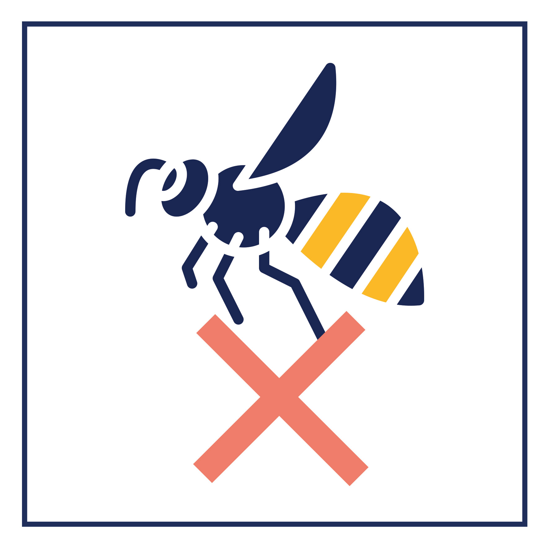 Image média: Mise en place d'une campagne de piégeage ciblée des frelons asiatiques