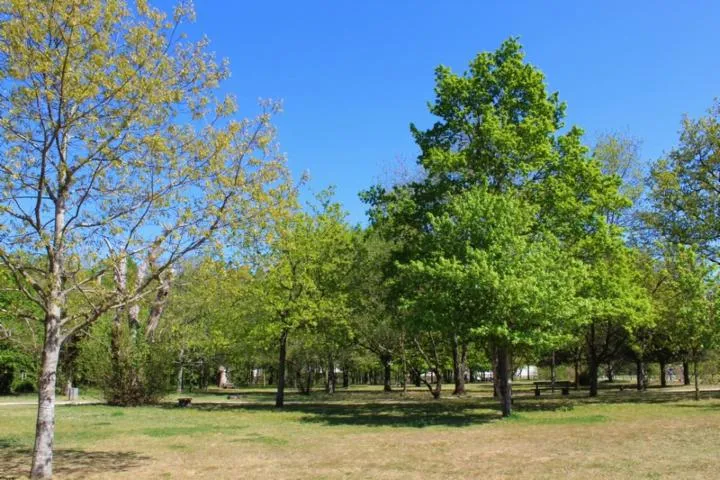 Image média: Installation d’une structure de jeux au Parc des Coteaux