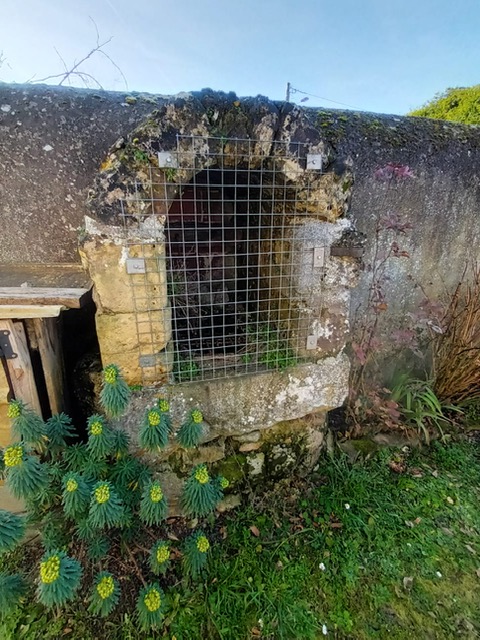 Image média: Restauration des vieux puits existants