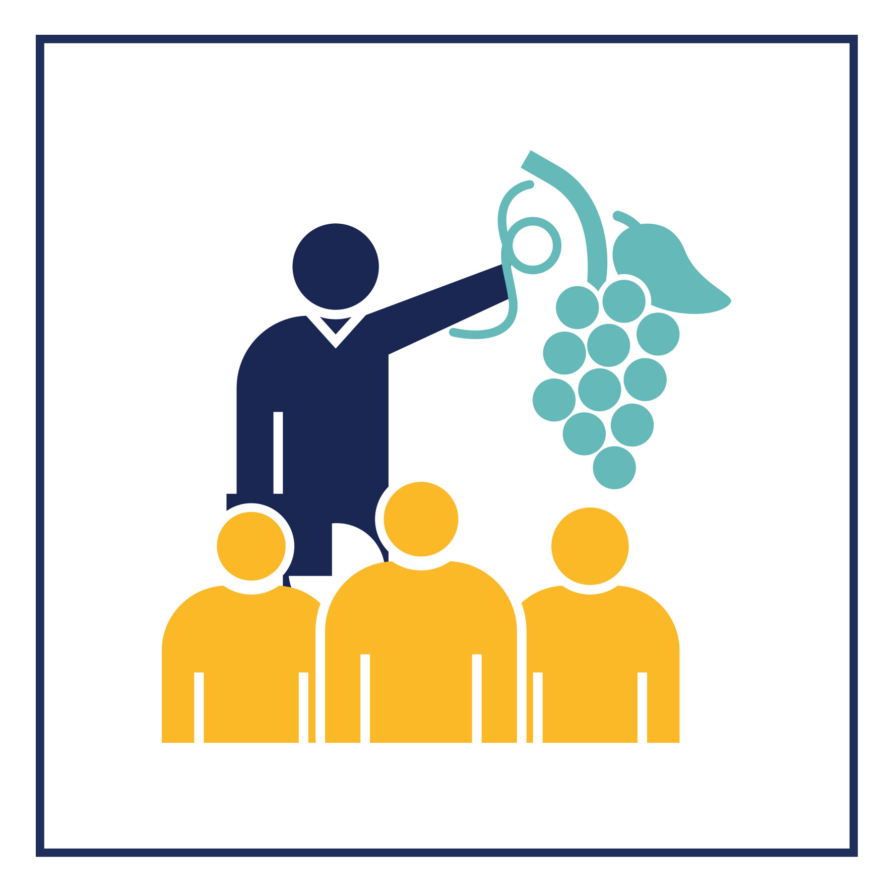 Image média: Mise en place de visites pédagogiques d’un vignoble