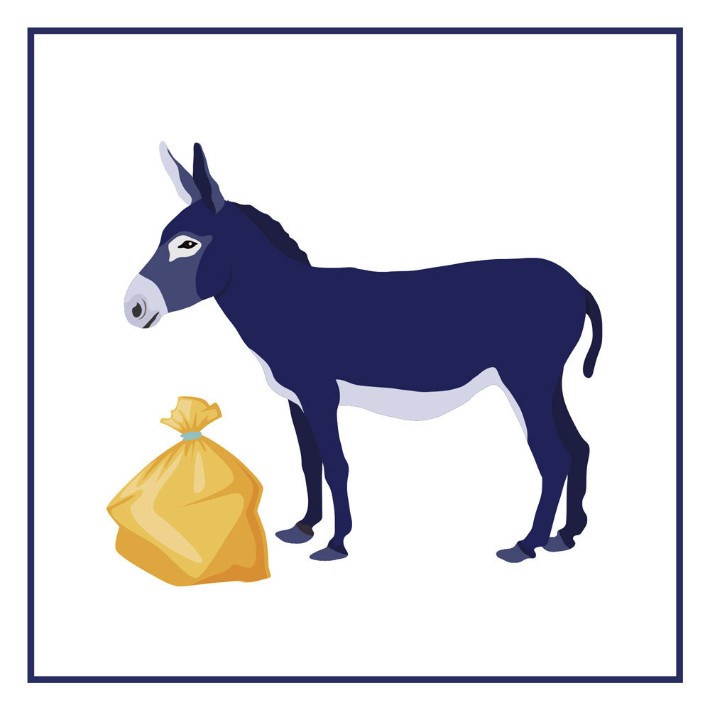 Image média: Aux ânes, citoyens !