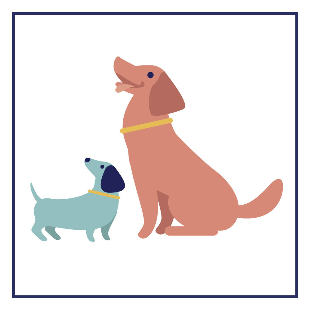 Image média: Création d’un parc à chiens