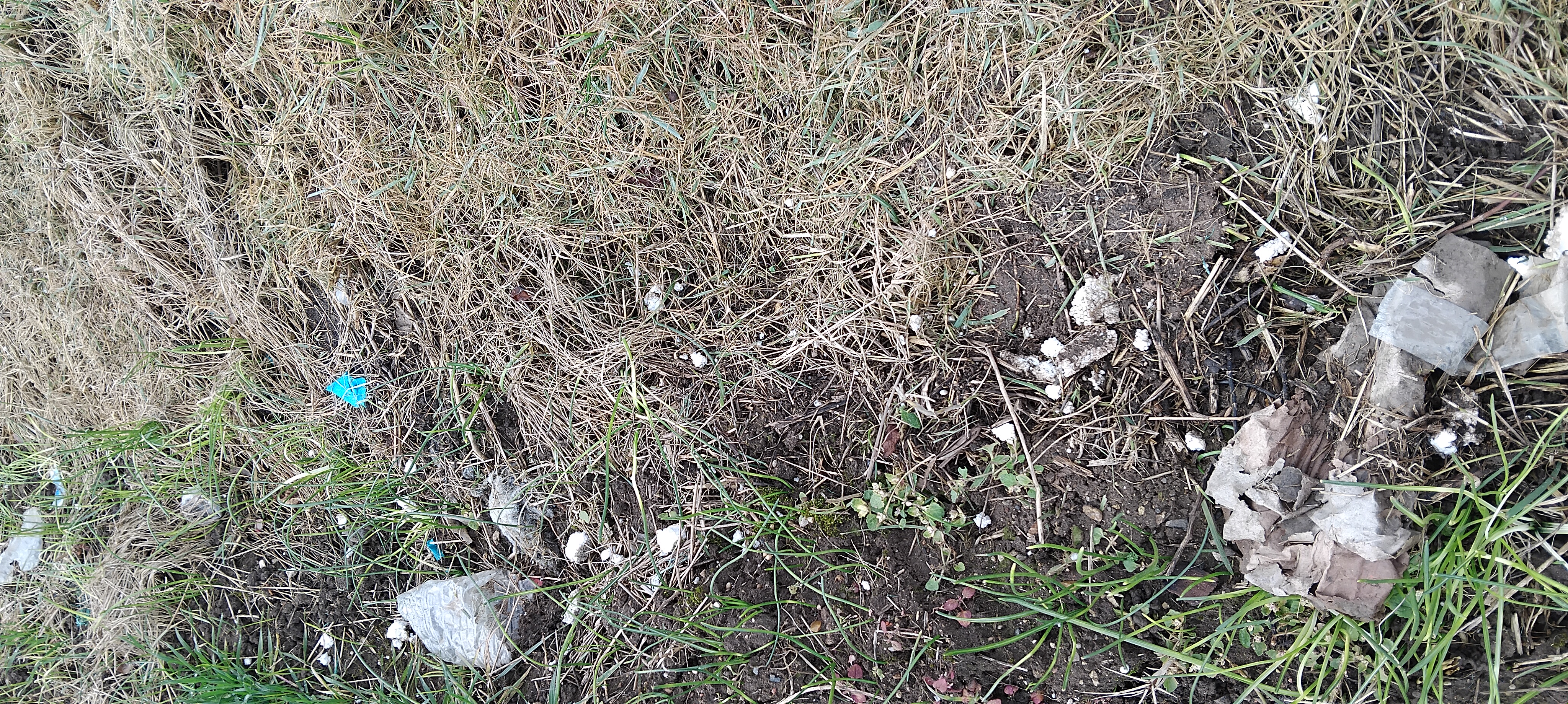 Image média: Amélioration environnement collecte déchets