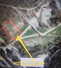 1707083692441 (1).jpg