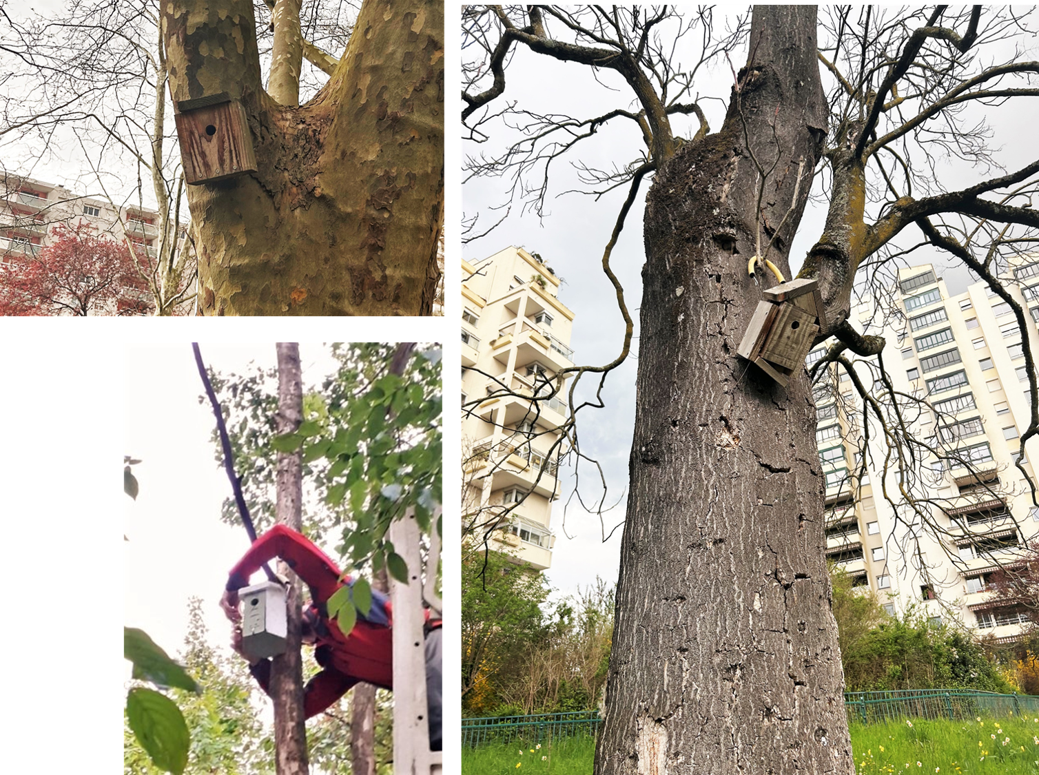 diversnichoirsmesanges