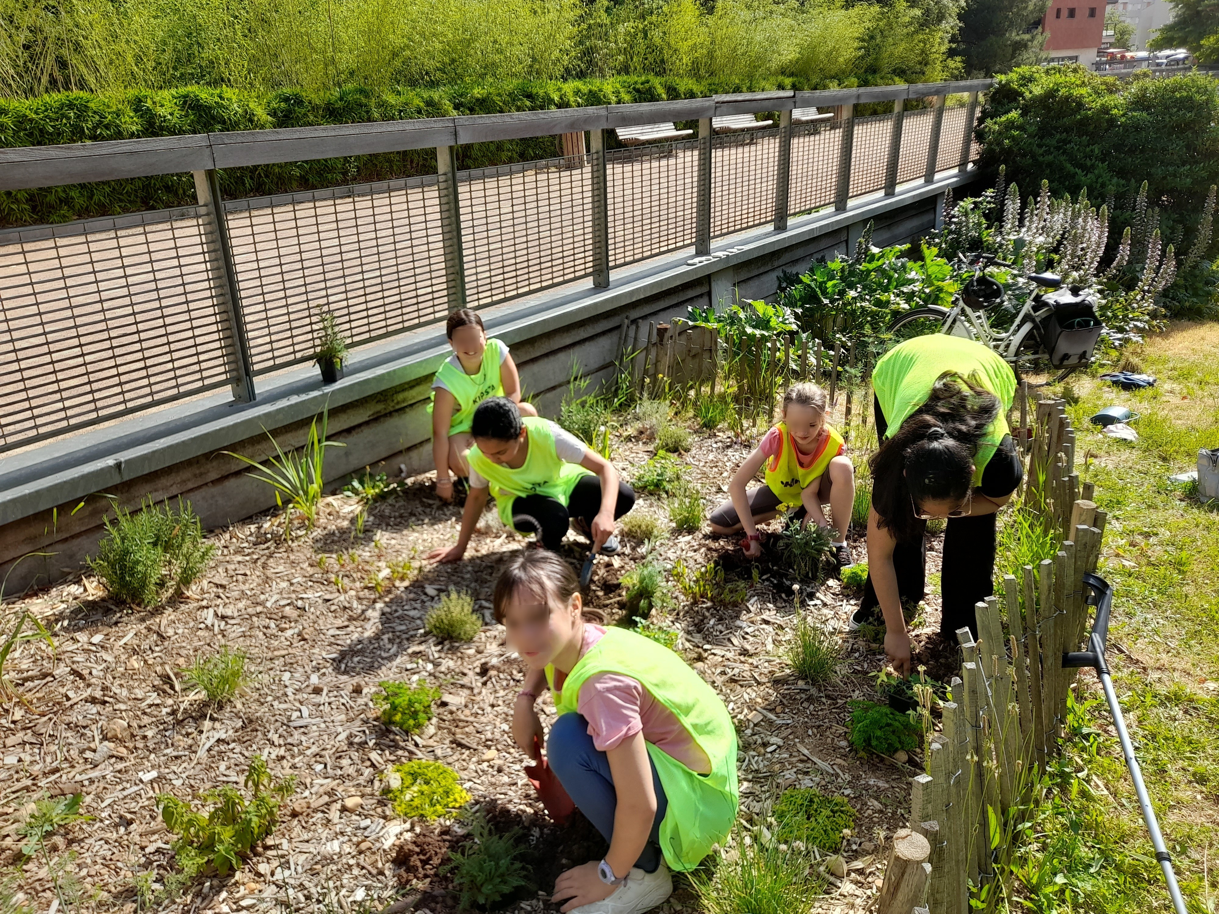 enfantsperiscodescartes